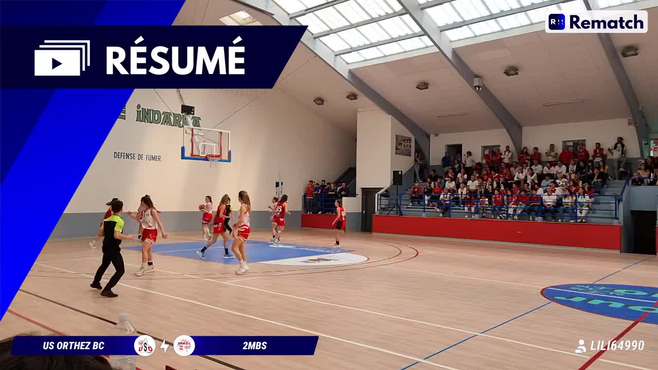 Vignette du résumé