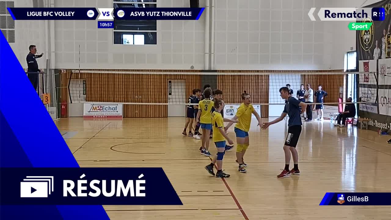 Vignette du résumé