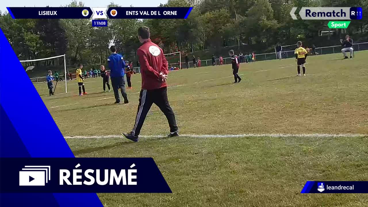 Vignette du résumé