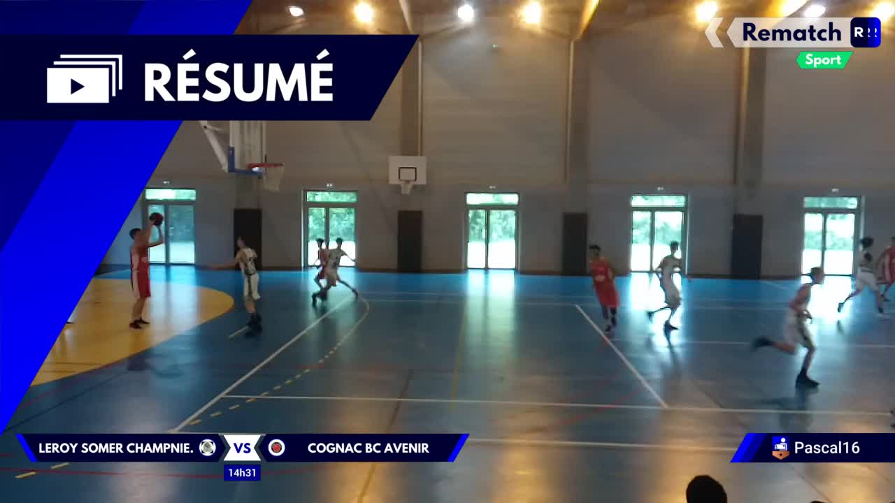 Vignette du résumé