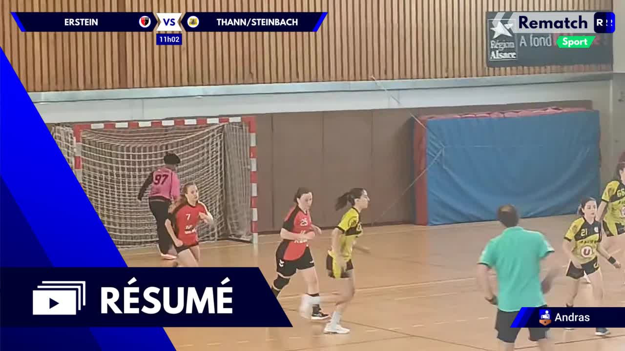 Vignette du résumé