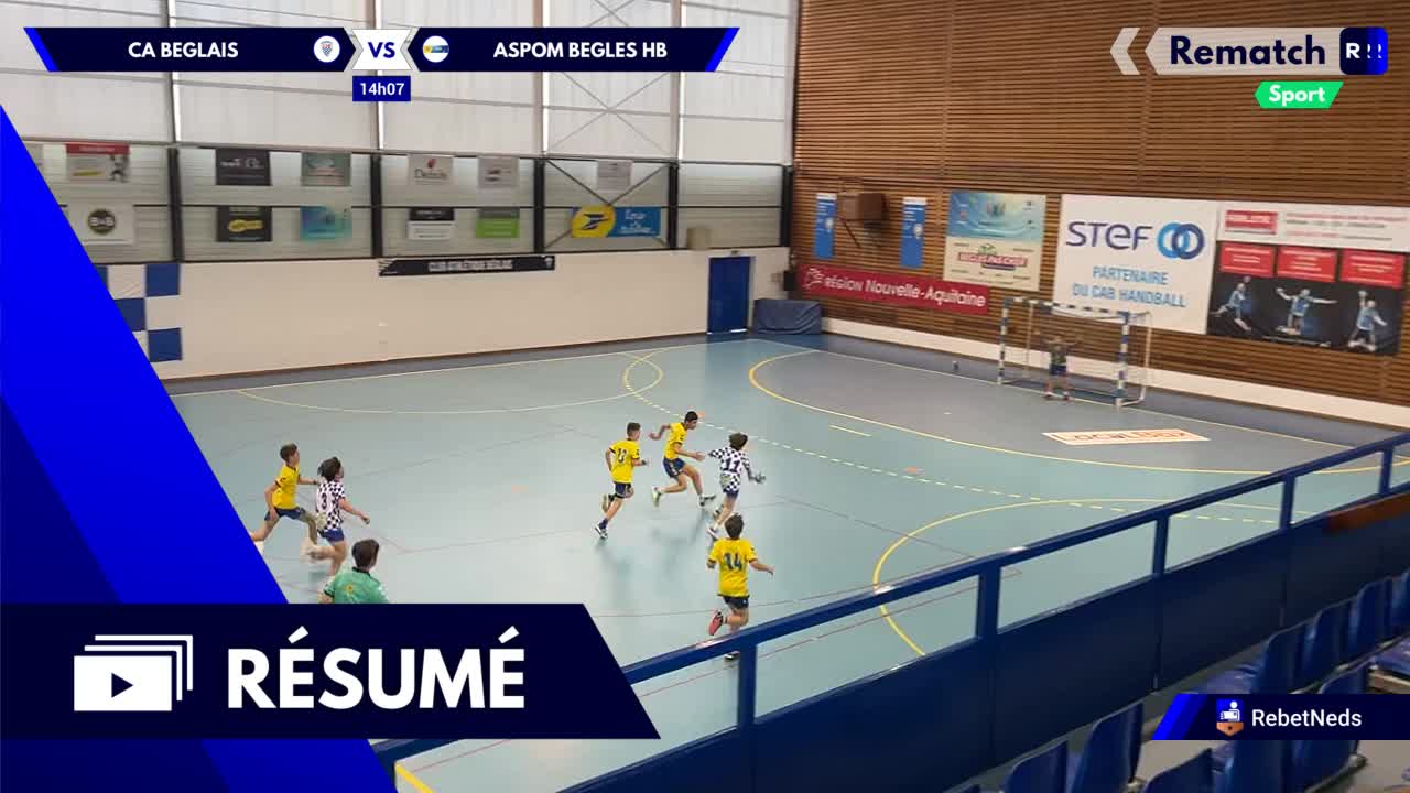 Vignette du résumé