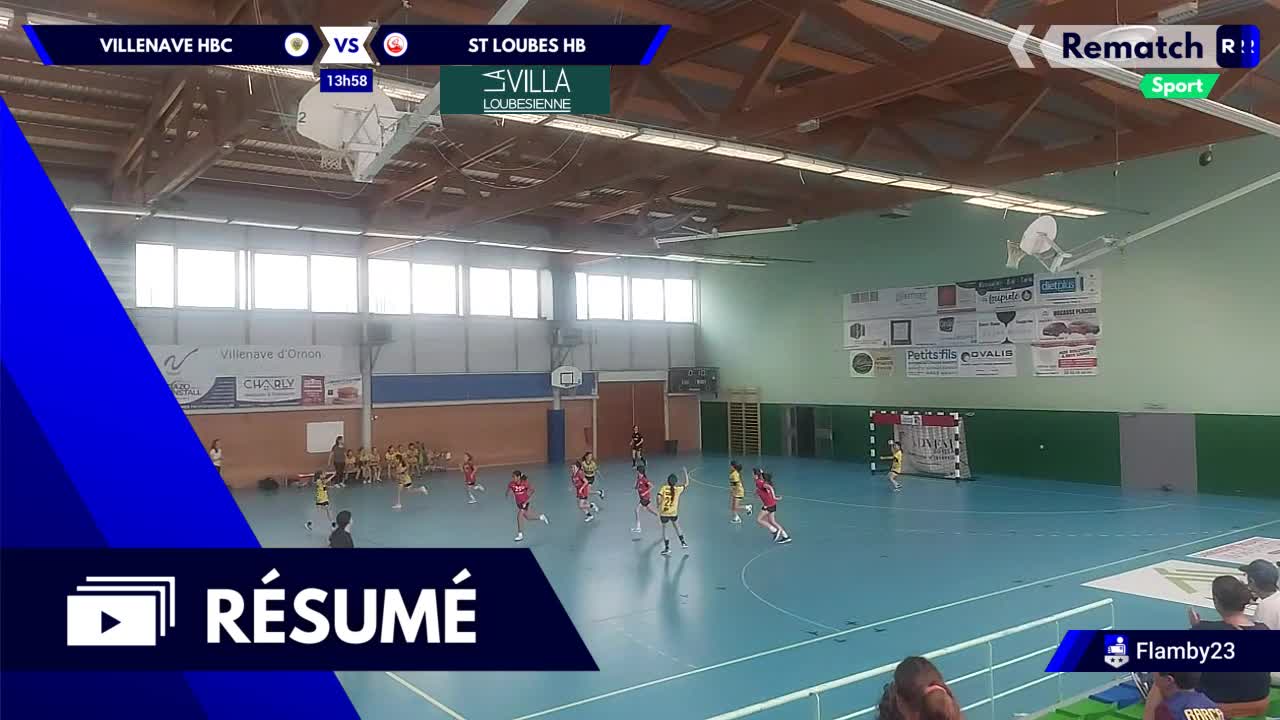Vignette du résumé