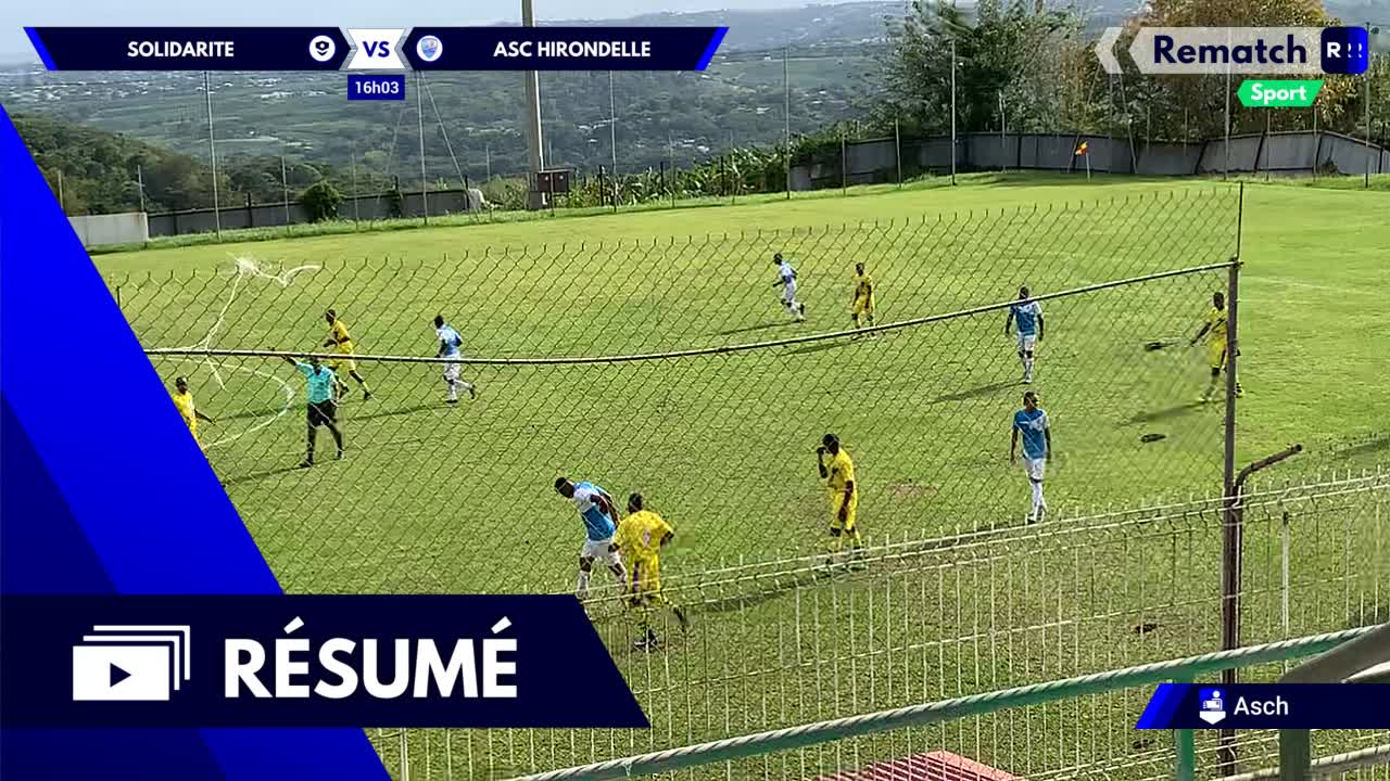 Vignette du résumé