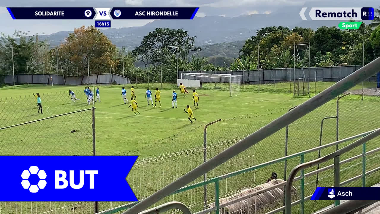 Vignette de la vidéo