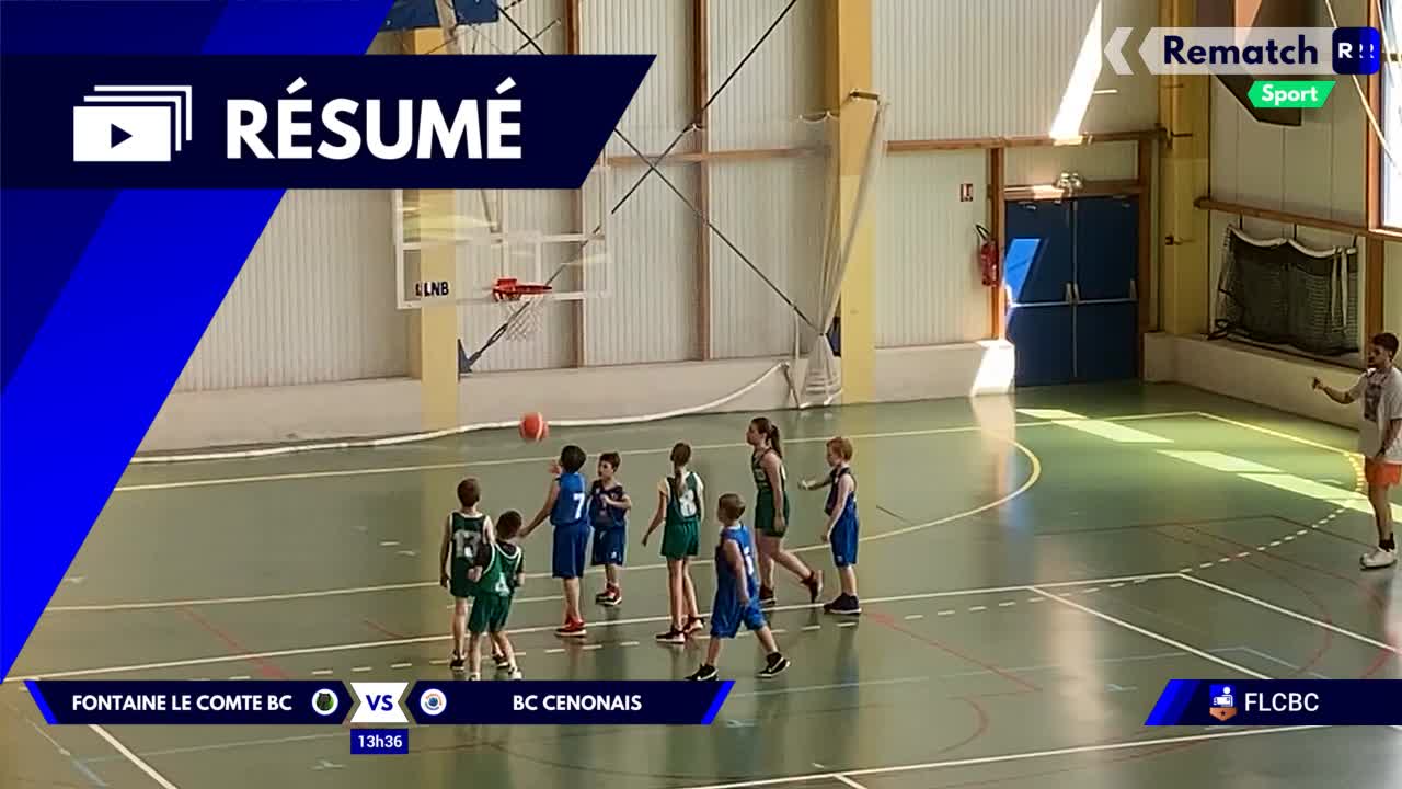 Vignette du résumé