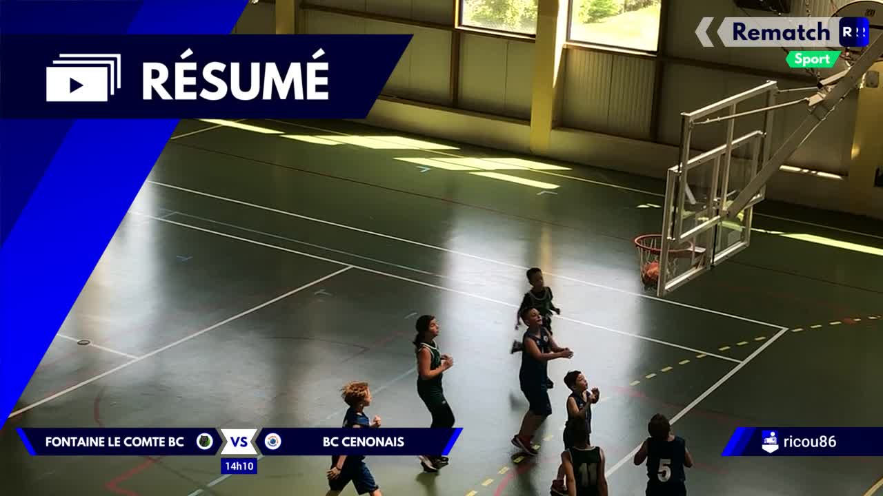 Vignette du résumé