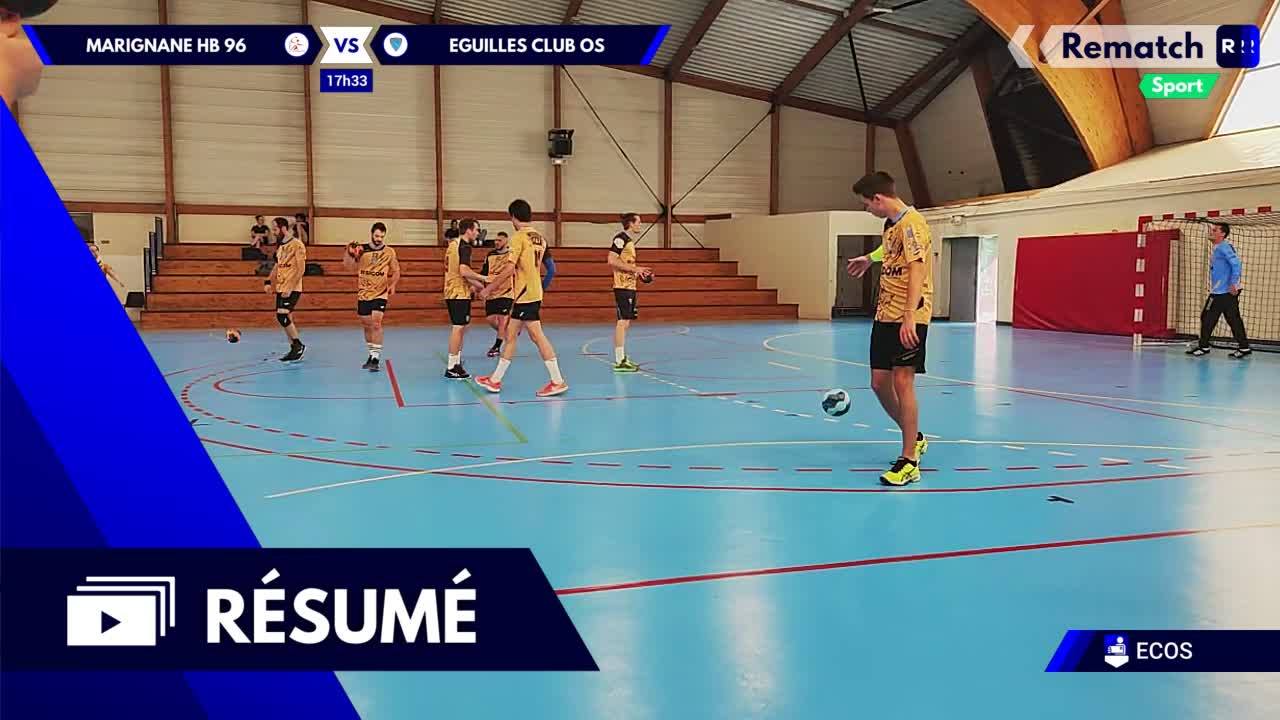 Vignette du résumé