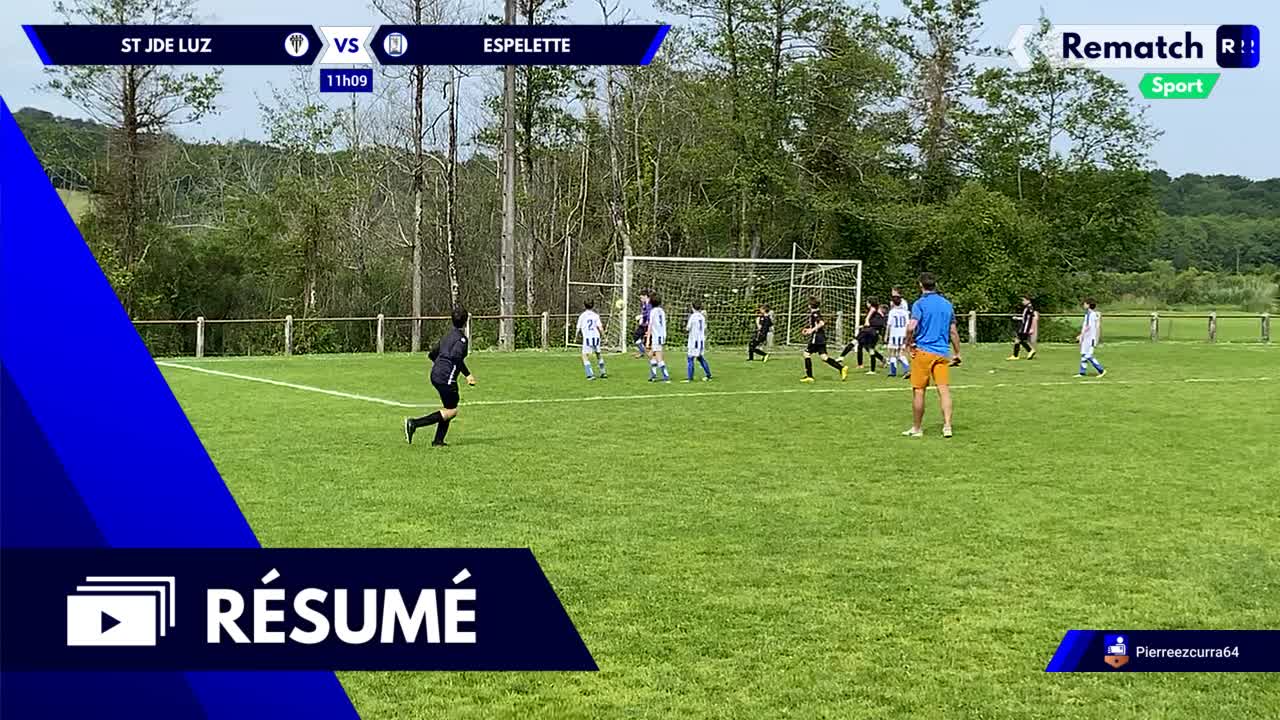 Vignette du résumé