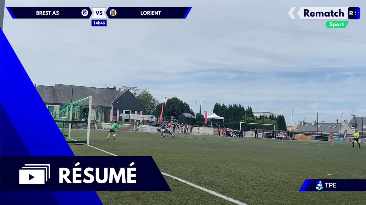 Vignette du résumé