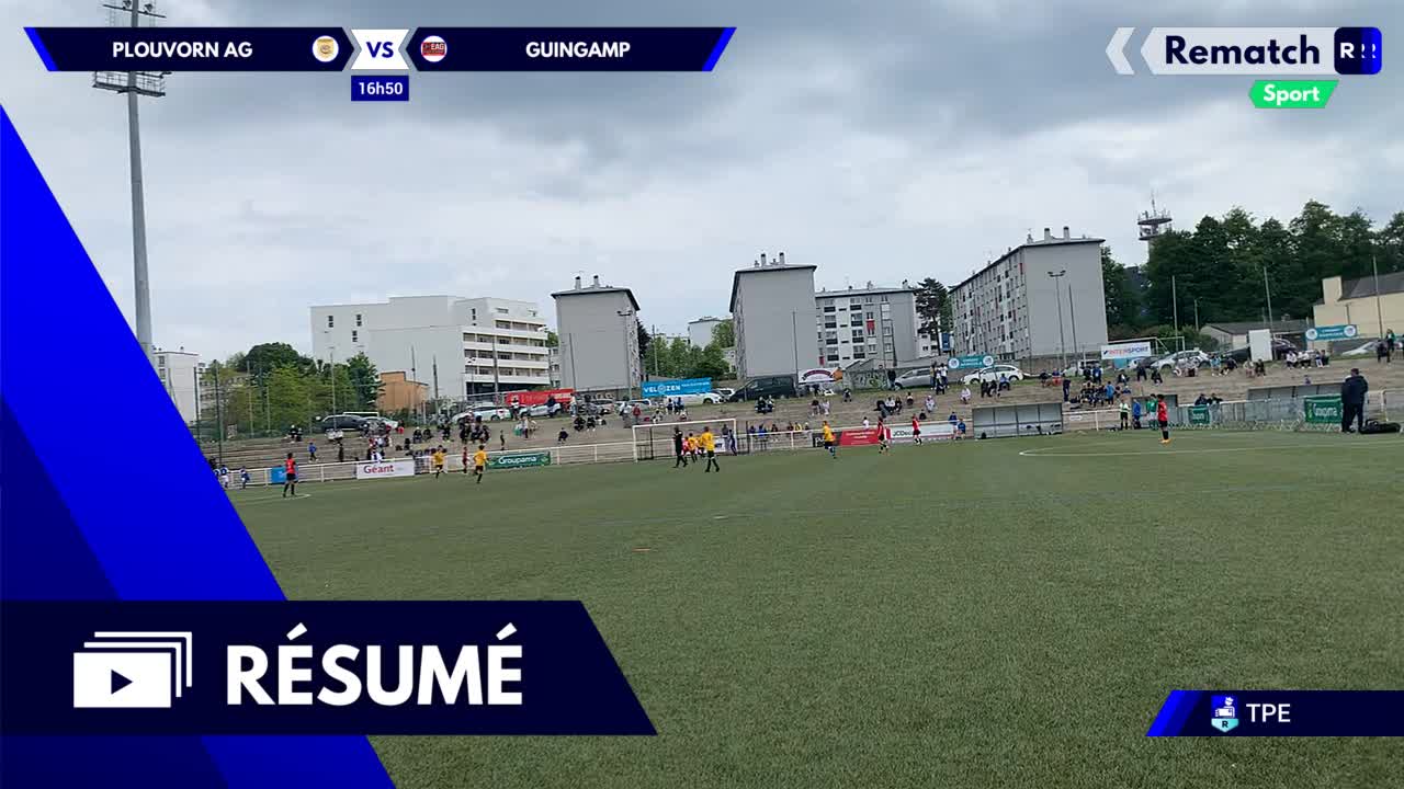 Vignette du résumé