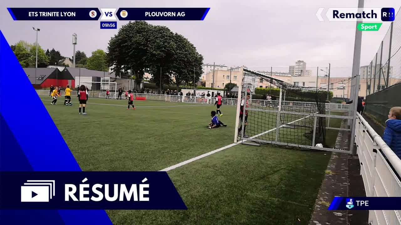 Vignette du résumé