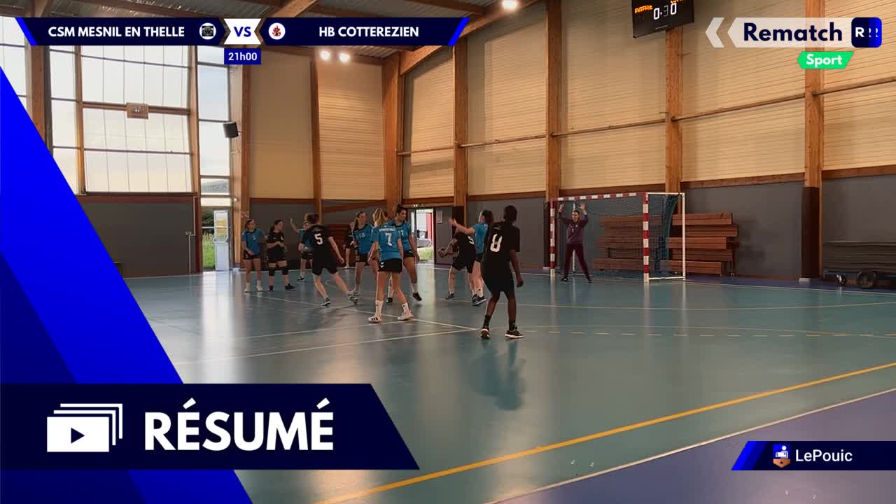 Vignette du résumé