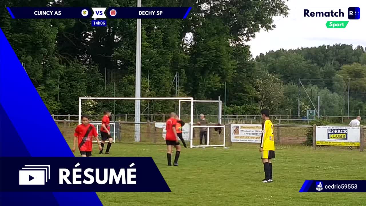 Vignette du résumé