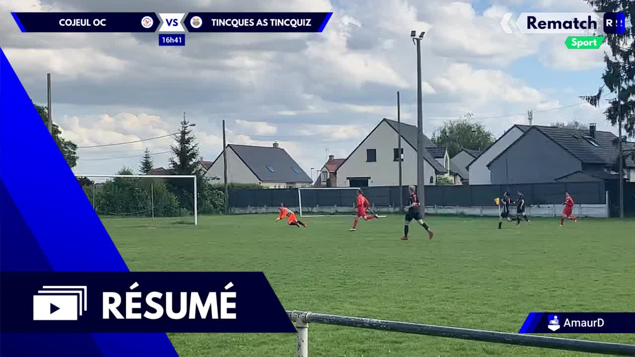 Vignette du résumé