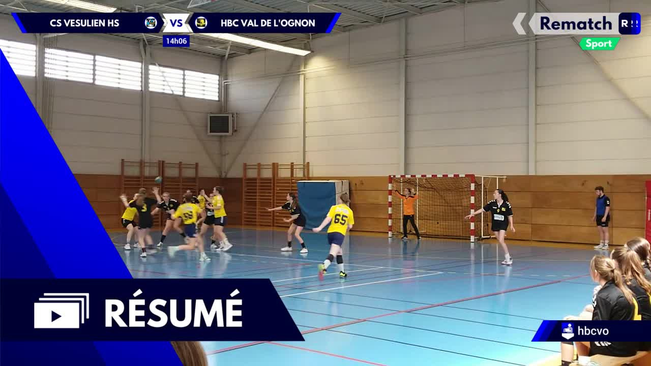 Vignette du résumé