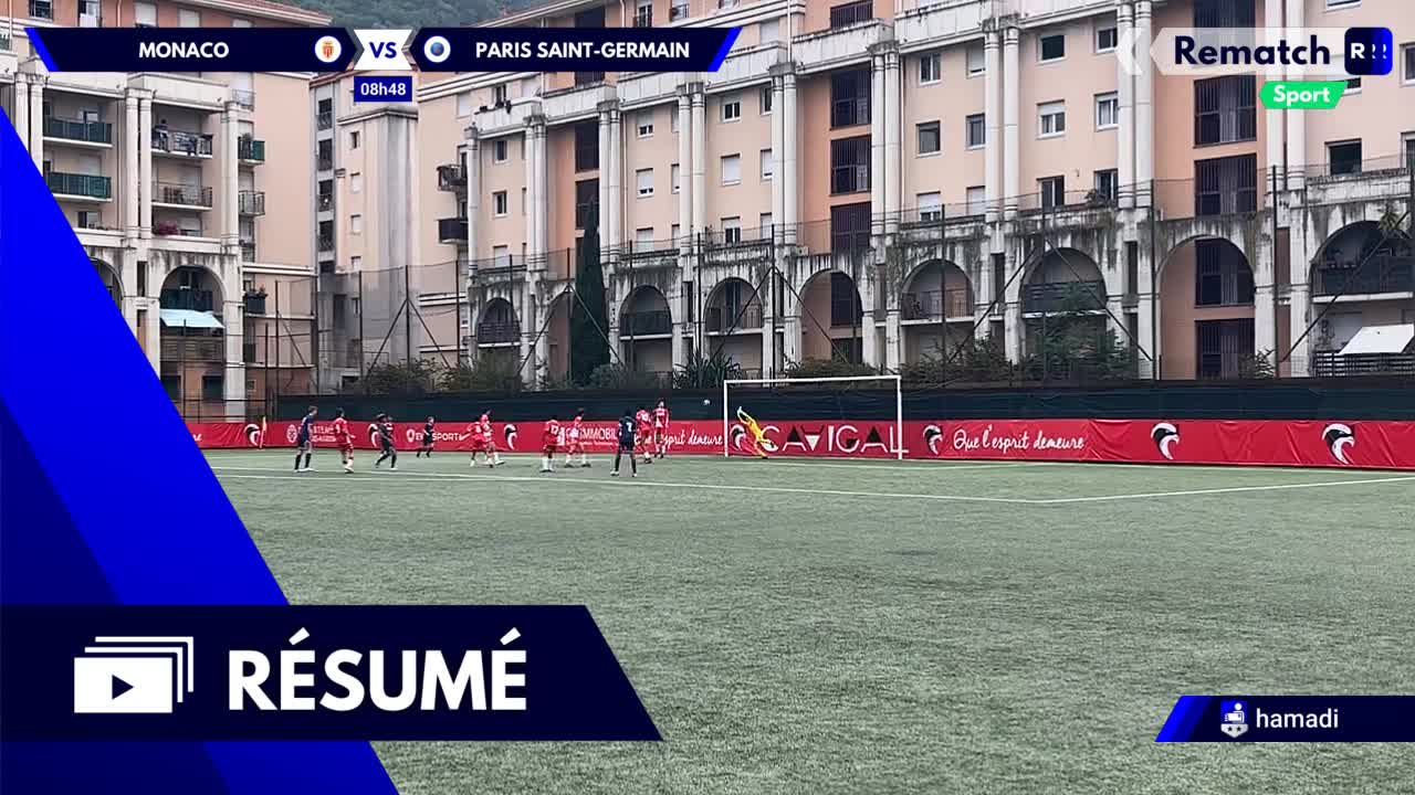 Vignette du résumé