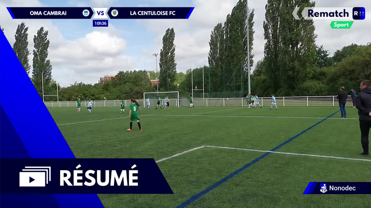 Vignette du résumé