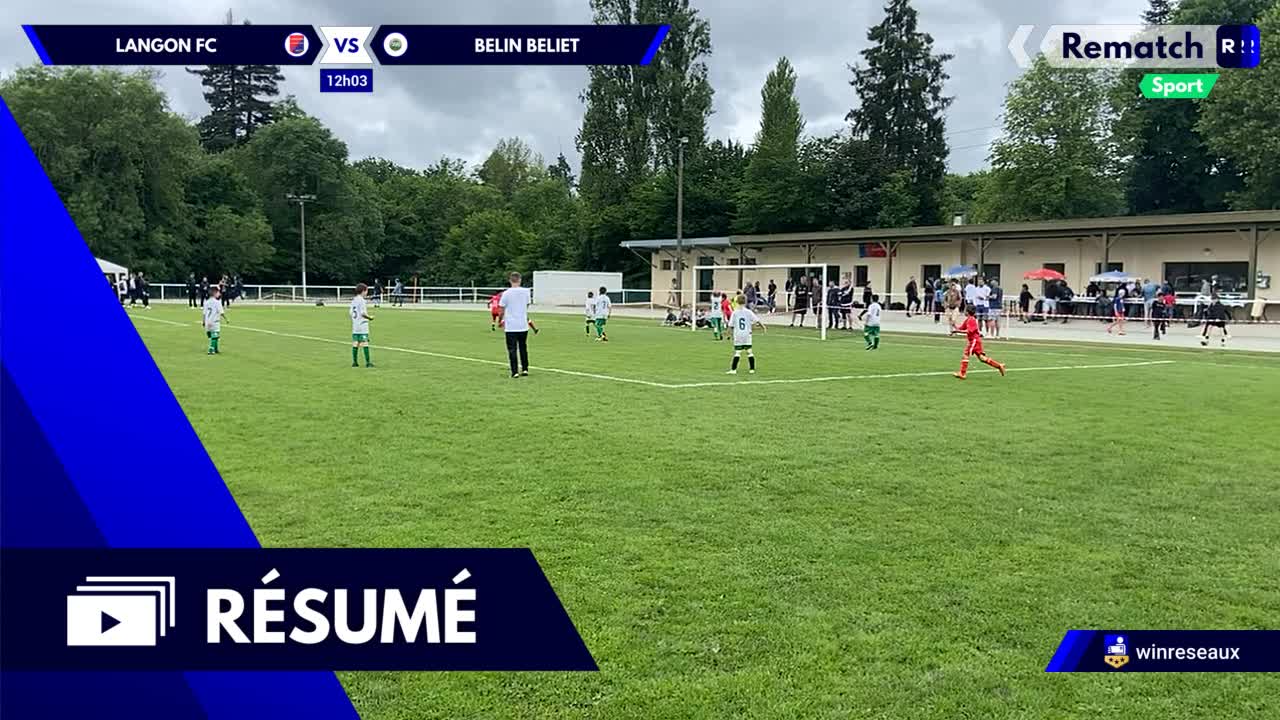 Vignette du résumé