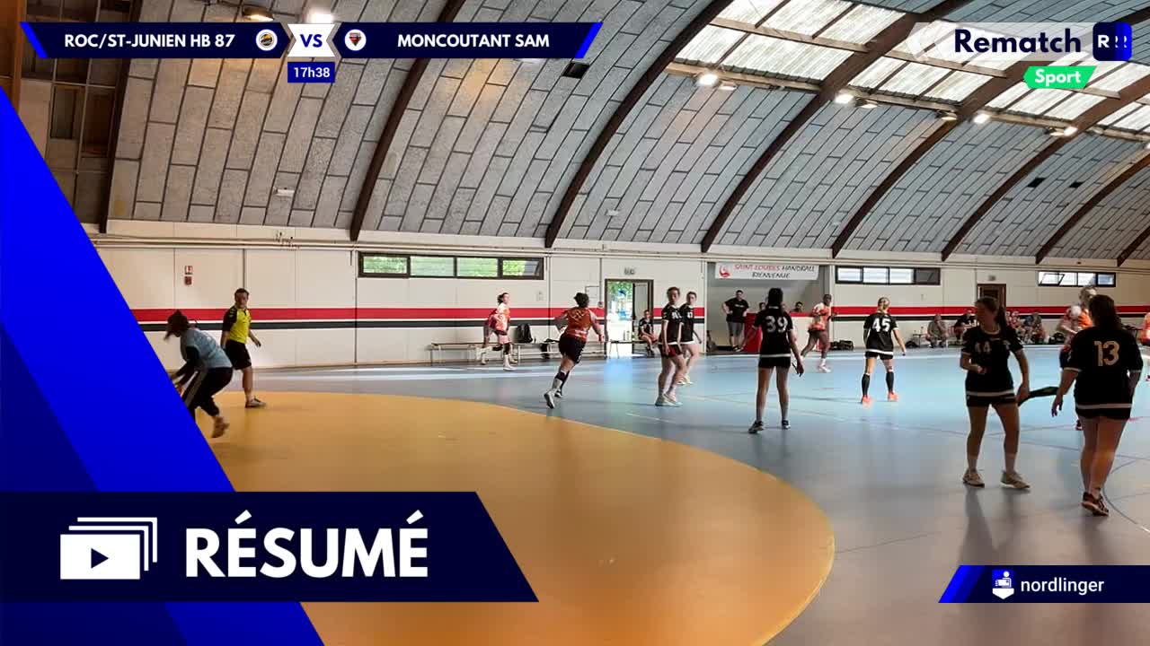 Vignette du résumé