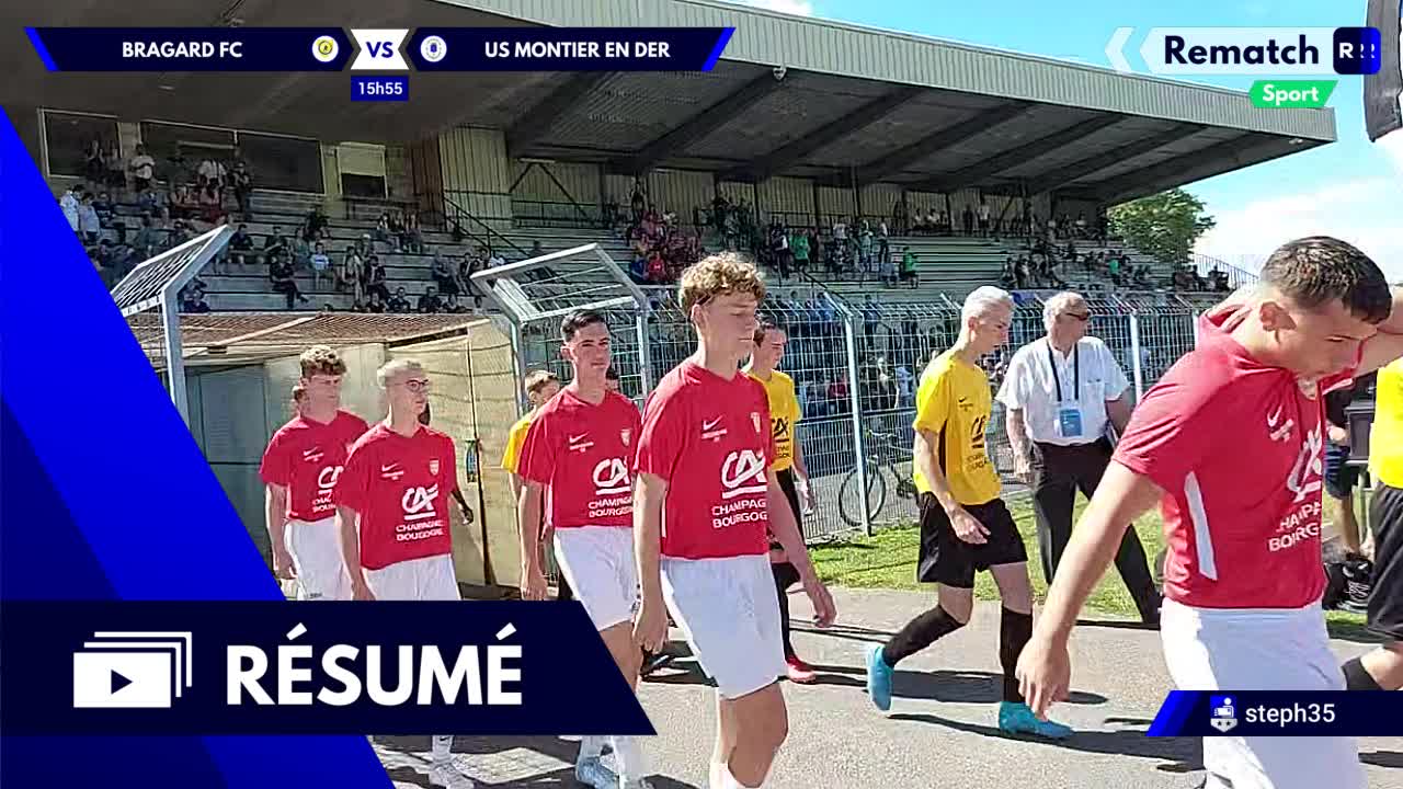 Vignette du résumé