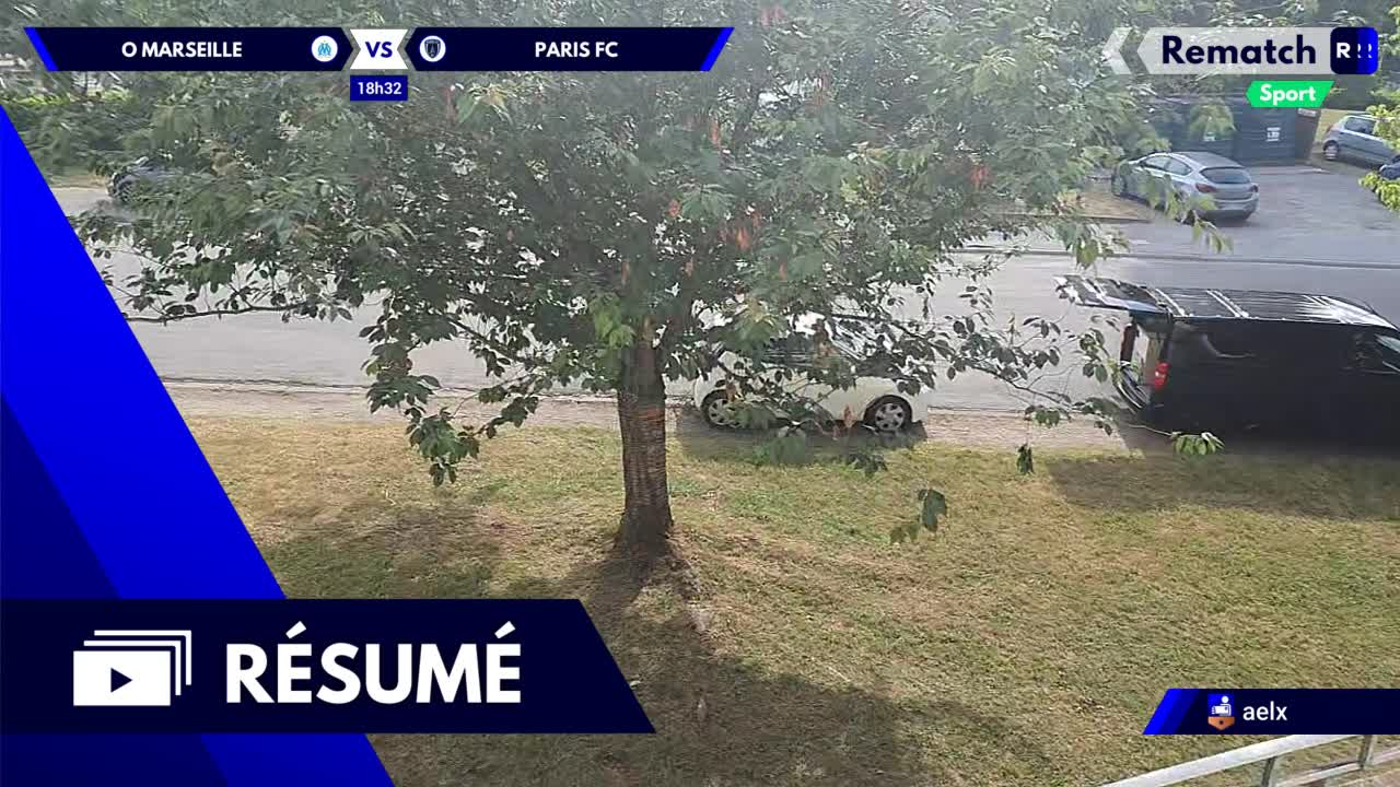 Vignette du résumé