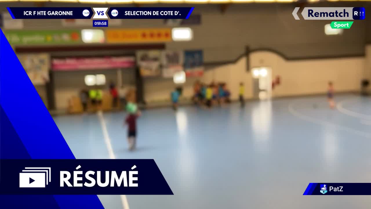 Vignette du résumé