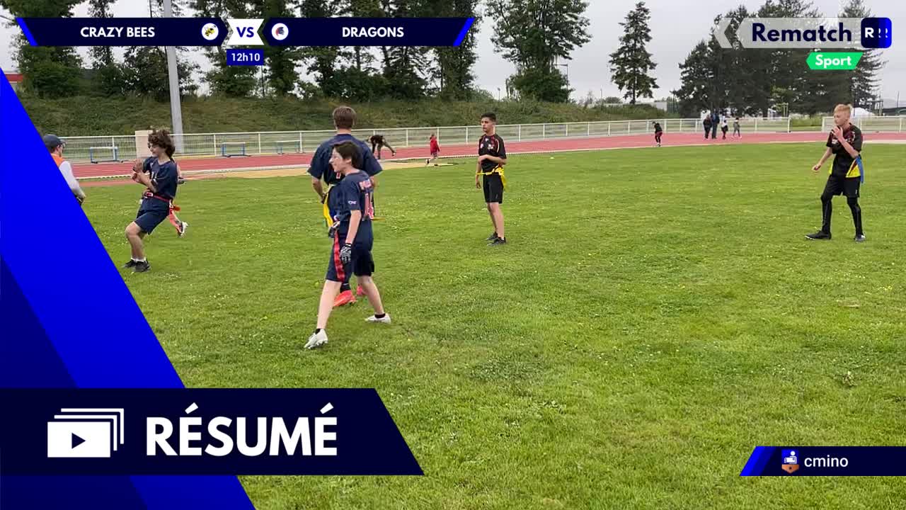 Vignette du résumé