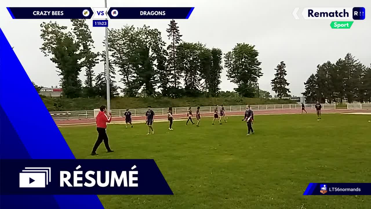 Vignette du résumé