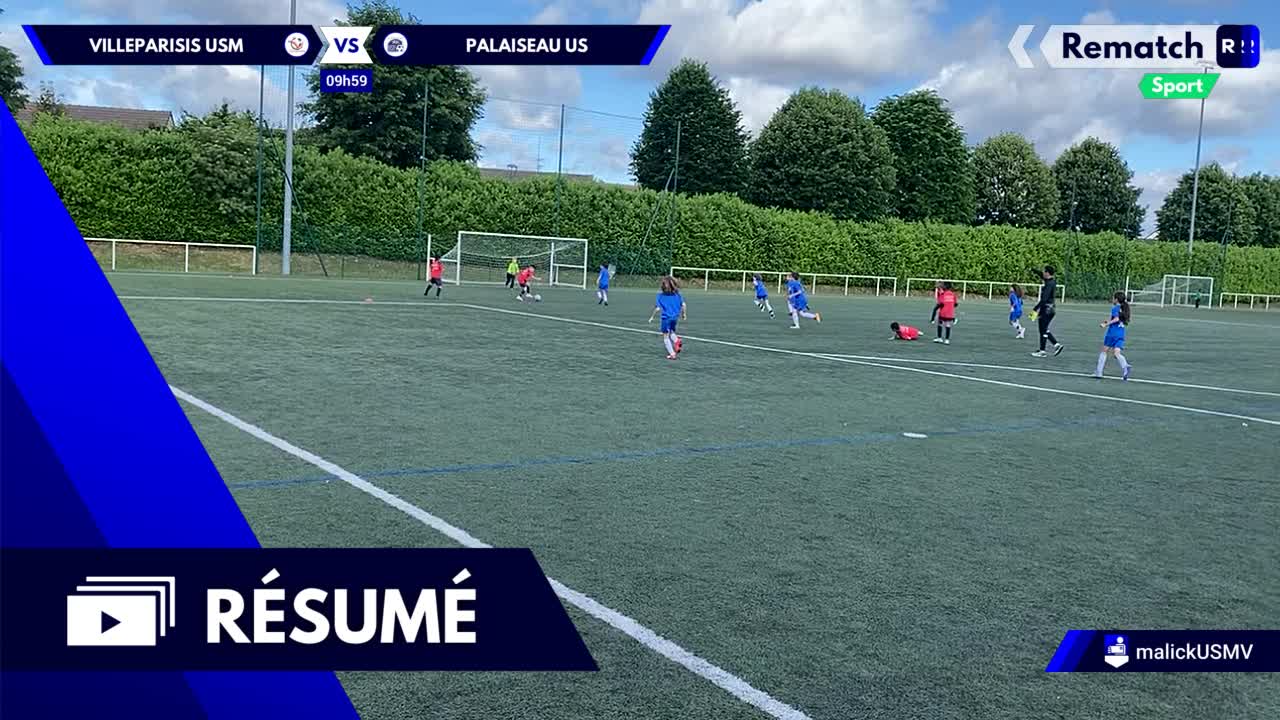 Vignette du résumé