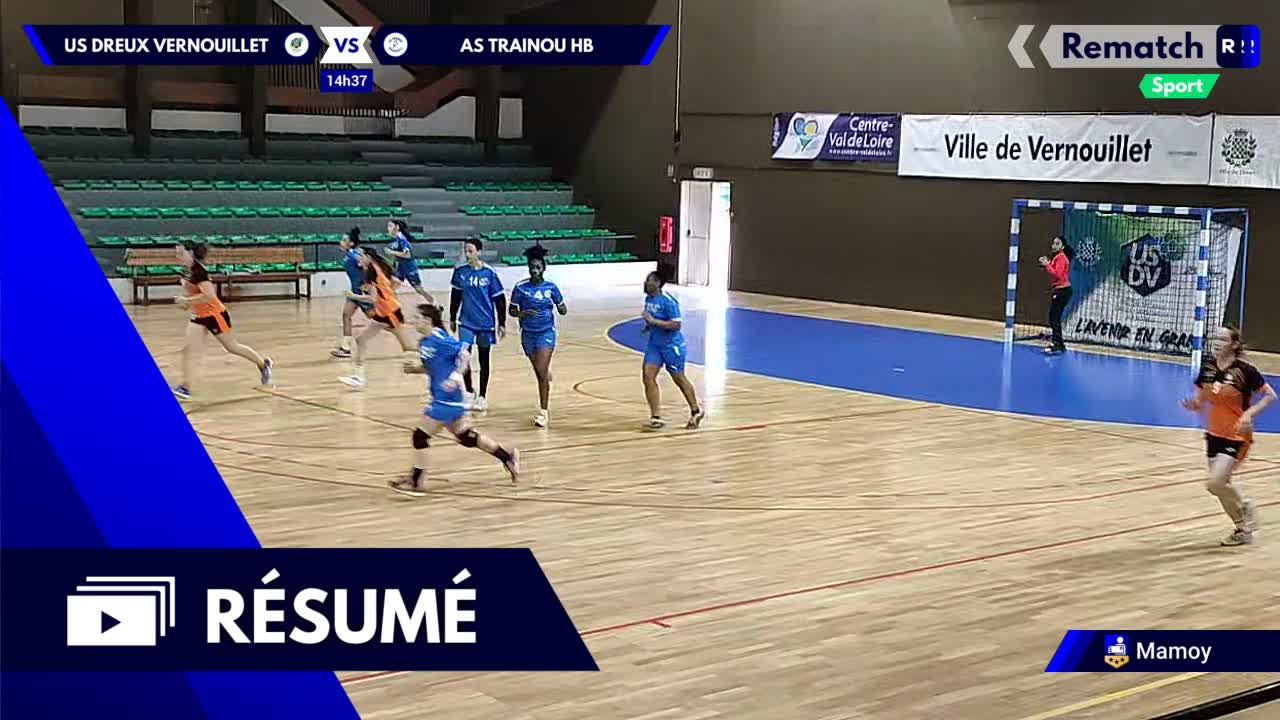 Vignette du résumé