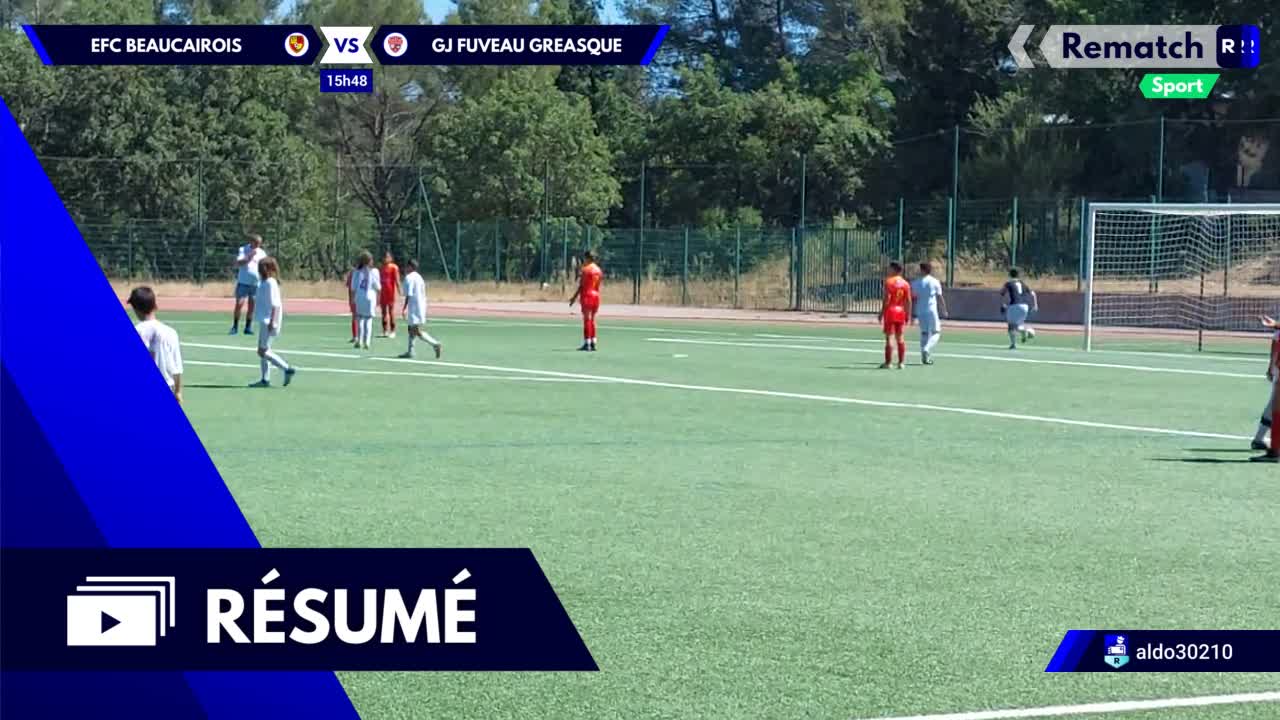 Vignette du résumé