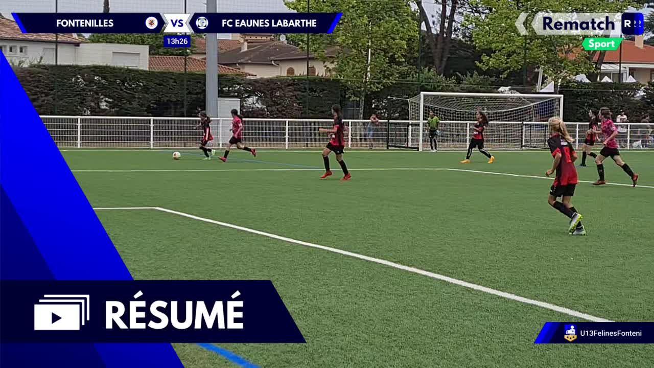 Vignette du résumé