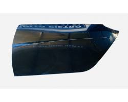 PANNELLO ANTERIORE SINISTRO LATO GUIDA SMART Fortwo Coupé 3° Serie (w 451) Benzina (2008) RICAMBI USATI