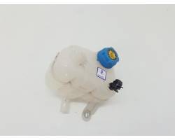 51837896 VASCHETTA LIQUIDO RADIATORE FIAT Panda Cross 1300 Diesel (2017) RICAMBI USATI