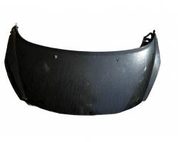 7901N2 COFANO ANTERIORE PEUGEOT 207 1° Serie 1560 diesel (2009) RICAMBI USATI