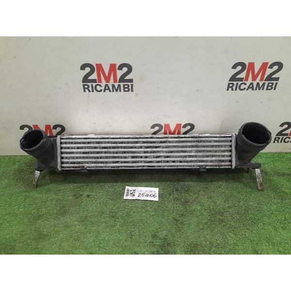 17517798788 INTERCOOLER BMW Serie 1 Serie (E87) (07>) 1995 diesel (2007
