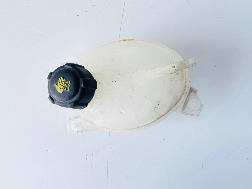 Vaschetta Compensazione Radiatore Usato