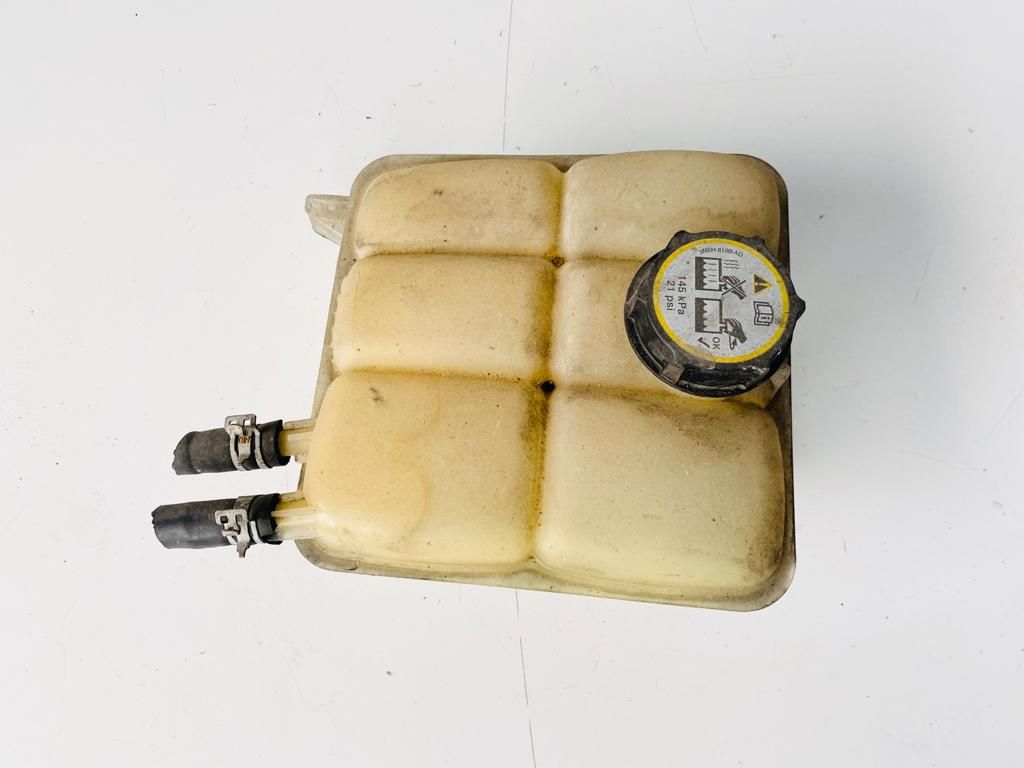Vaschetta Compensazione Radiatore Usato