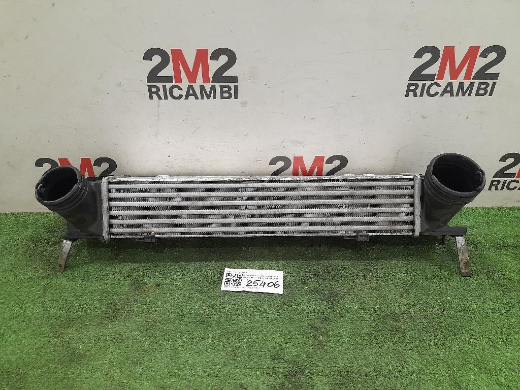 17517798788 INTERCOOLER BMW Serie 1 Serie (E87) (07>) 1995 diesel (2007