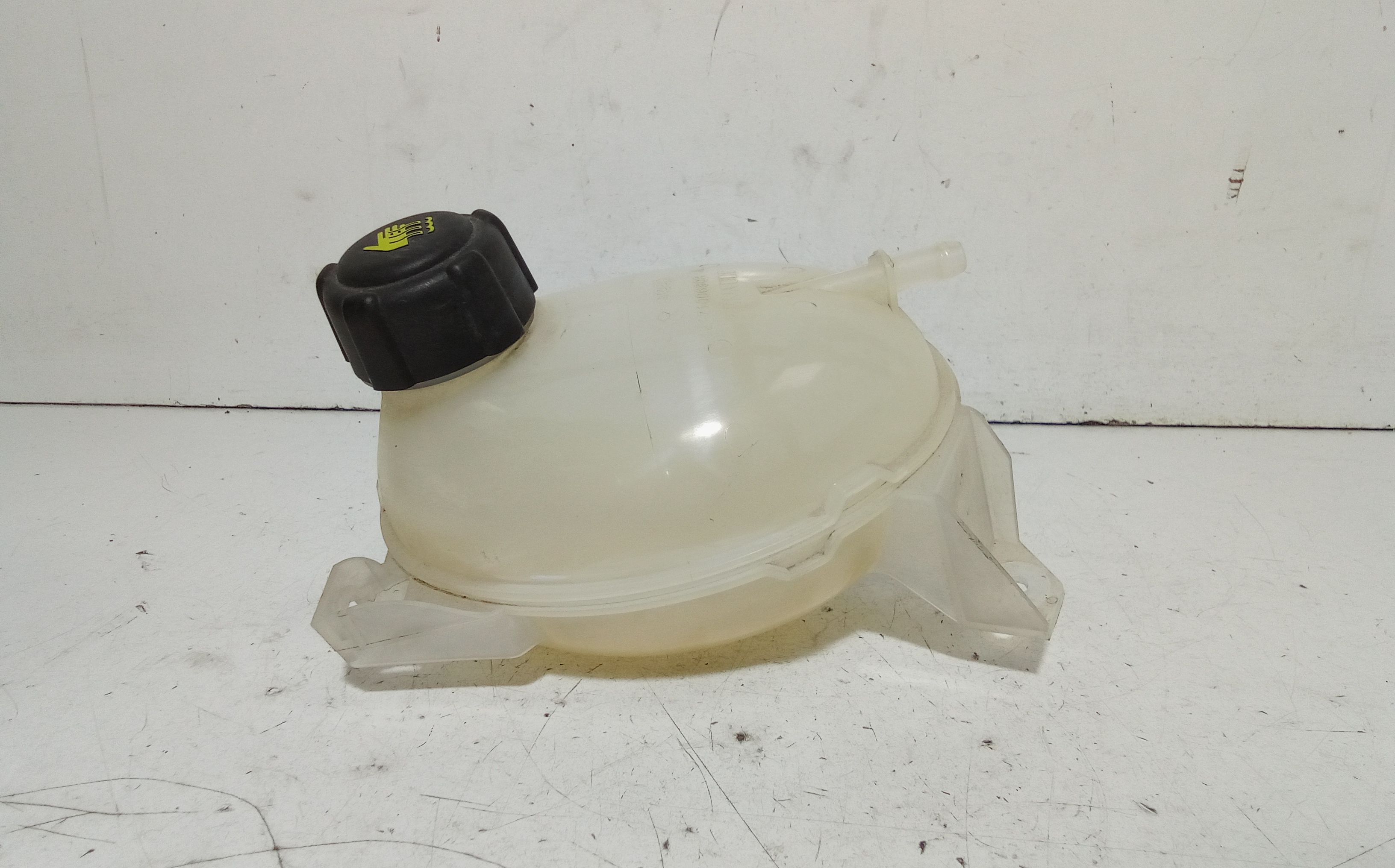 Vaschetta liquido radiatore RENAULT Clio Serie IV (12>19)