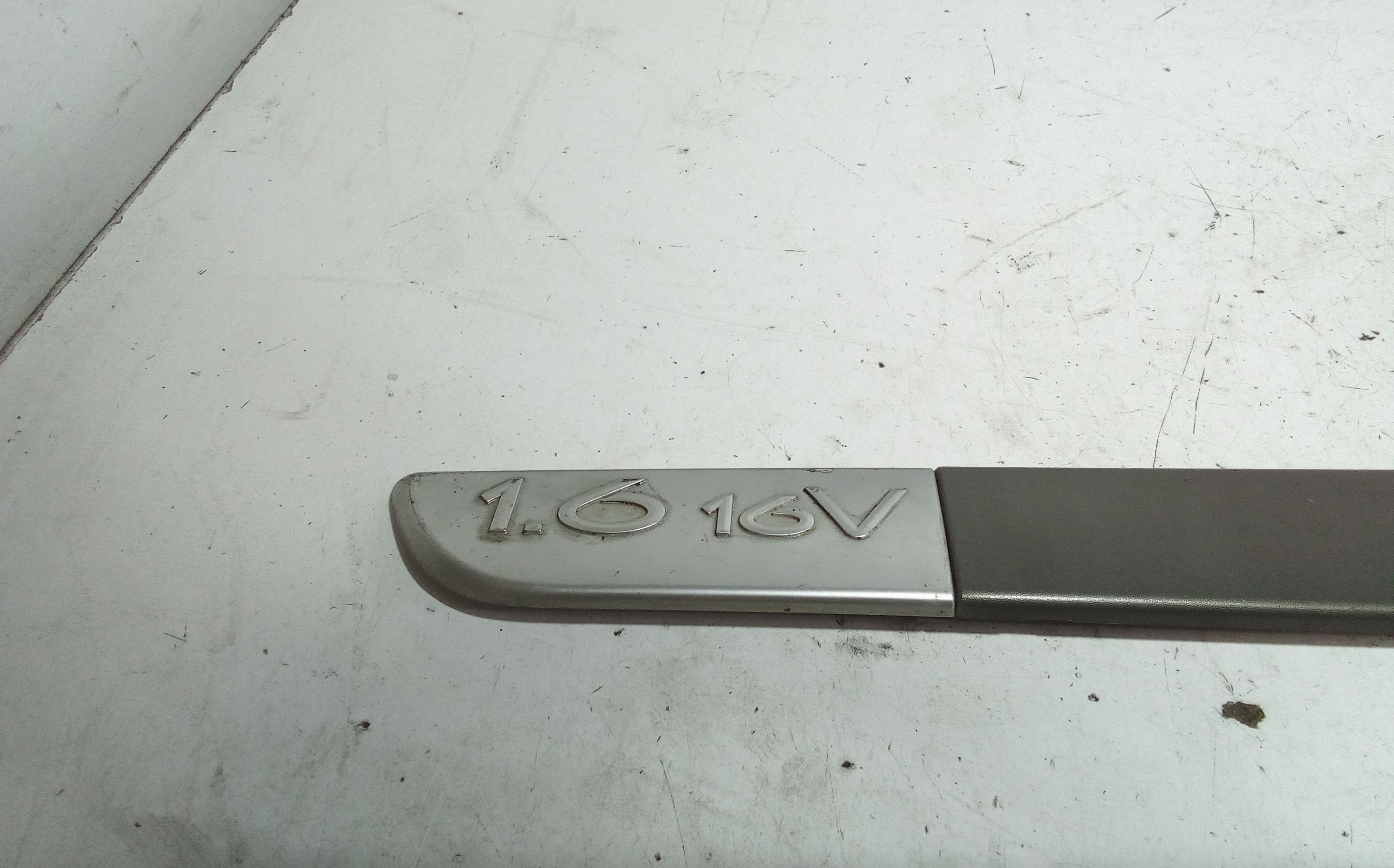 Modanatura porta ant SX guida RENAULT Scenic Serie (03>09)