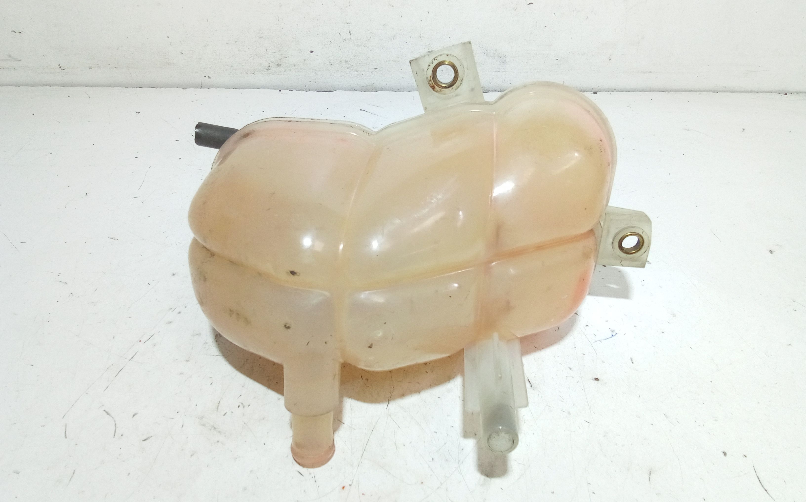 Vaschetta liquido radiatore FIAT Seicento / 600 (05>10)