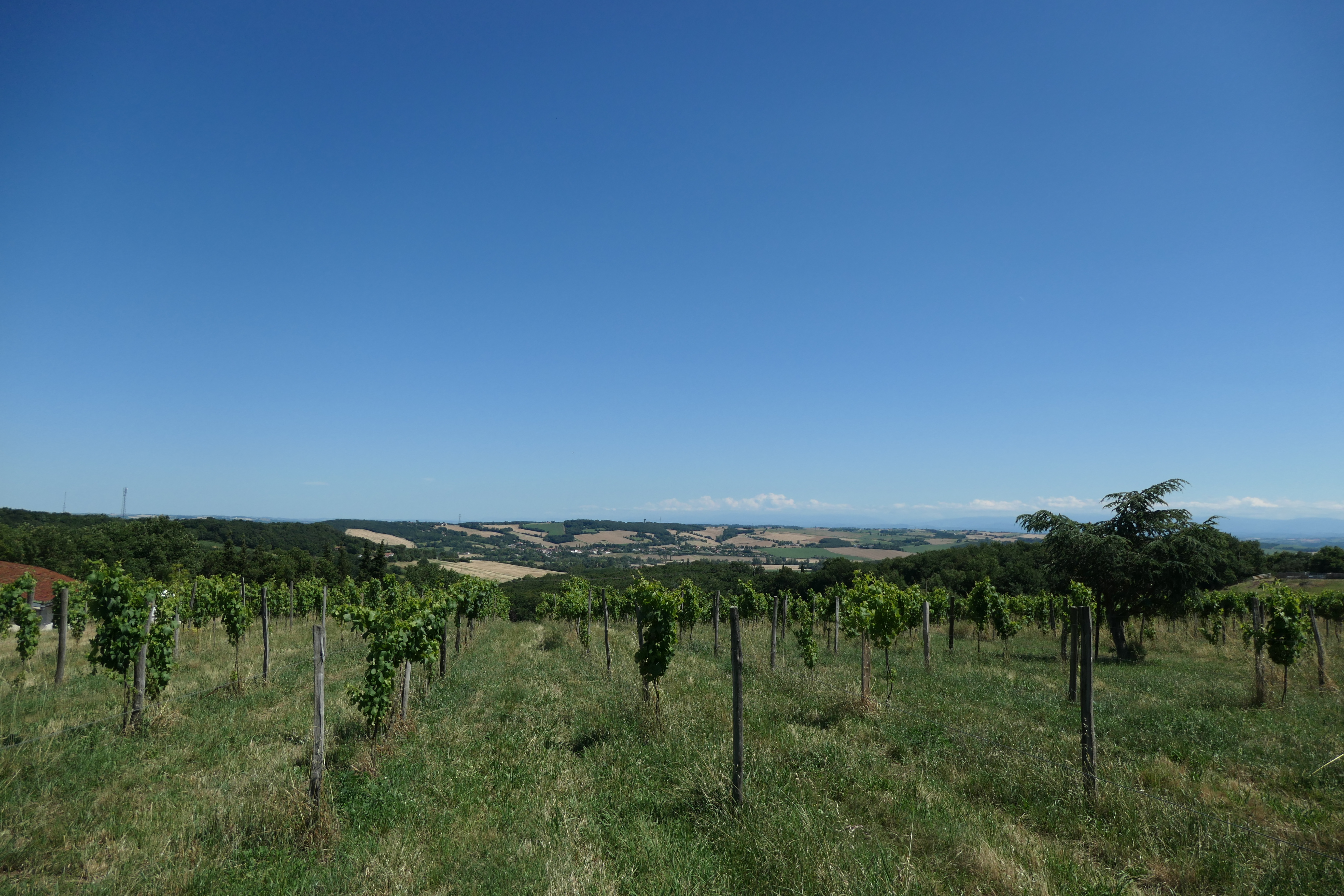 L'Epicurienne