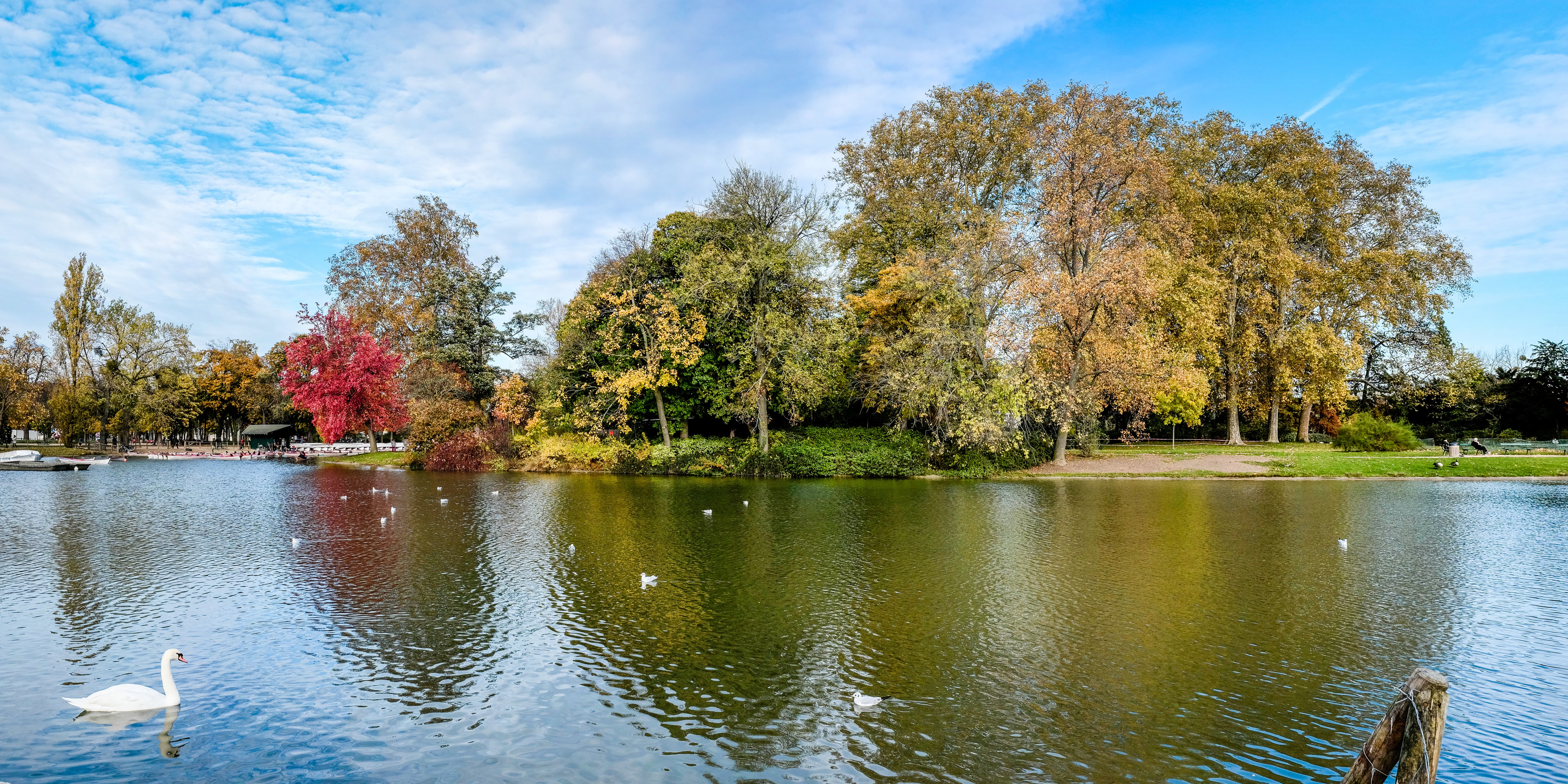 Semi-Marathon du Bois de Vincennes