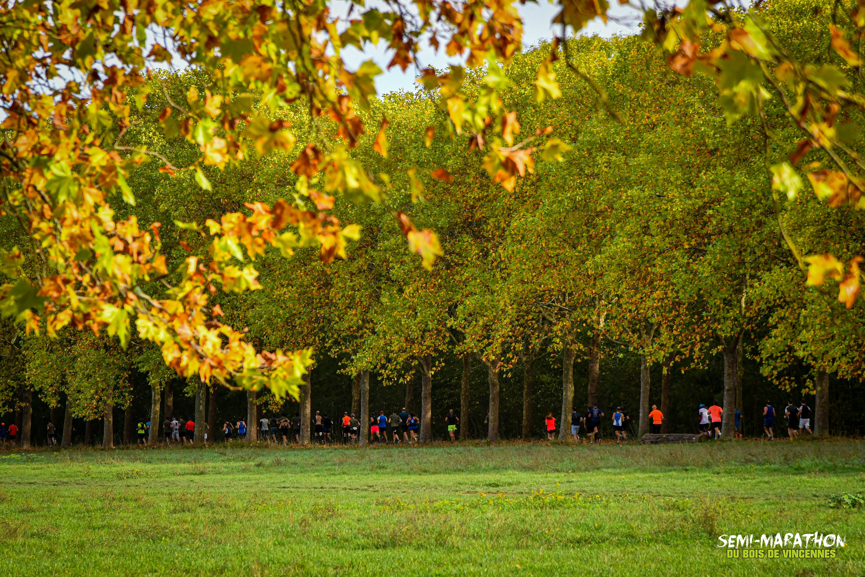 Semi-Marathon du Bois de Vincennes