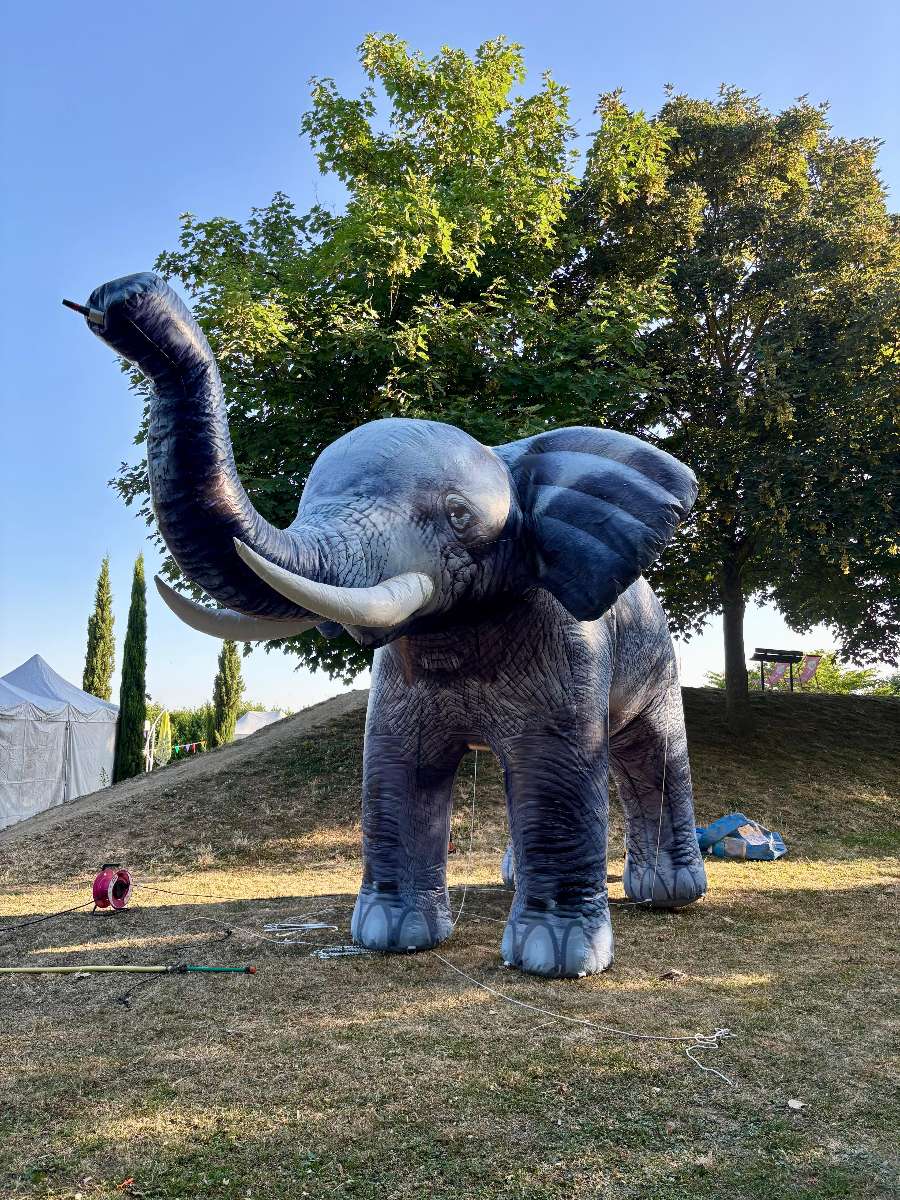 Brumisateur Gonflable Éléphant