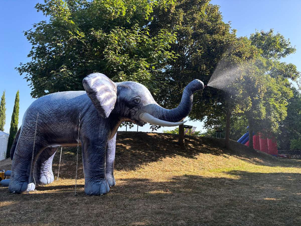 un Brumisateur Gonflable Éléphant gris qui crache de l'eau par la trompe dans un parc
