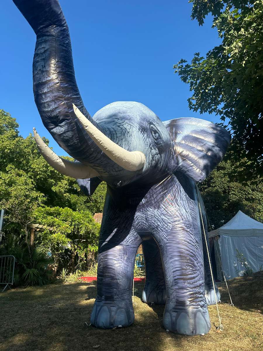 défenses d'éléphant brumisateur pointu et sa trompe grise
