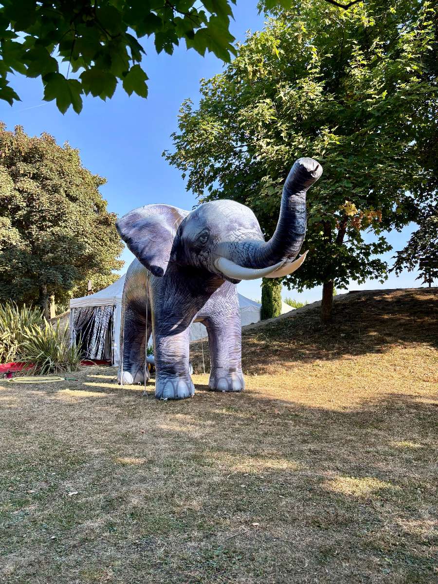 un Brumisateur Gonflable Éléphant gris qui crache de l'eau par la trompe dans un parc